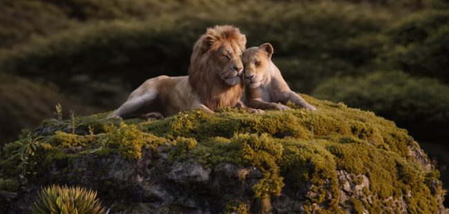 Một cảnh trong The Lion King phiên bản đời thực 2019