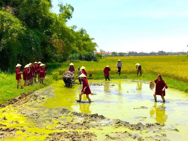 Những dịch vụ như làm rau, làm ruộng rất hấp dẫn với khách du lịch. Ảnh: Lê Quốc Việt.