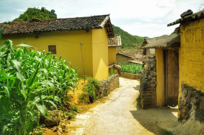 Các homestay được thiết kế, sang sửa lại từ chính nền tảng sẵn có của những ngôi nhà cổ của người Lô Lô: từ vách, tường theo kiến trúc trình tường đắp đất, đến mái âm dương xưa cũ, tường rào đá.