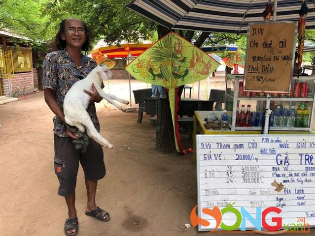 Ông chủ trang trại cừu Thành Quang ven hồ Thành Sơn bên cạnh con cừu non mời gọi khách tham quan.