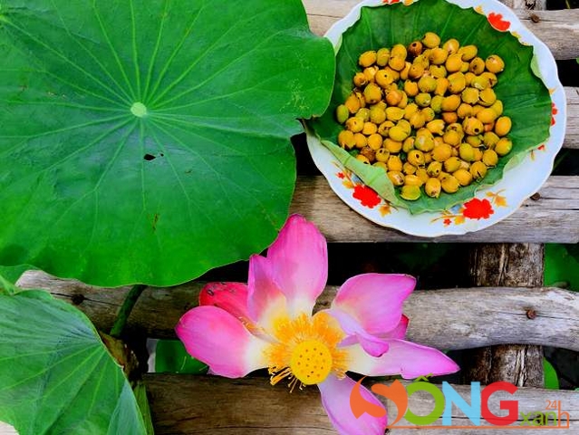 Món sen rang bạn cần phải thử khi đến đây.