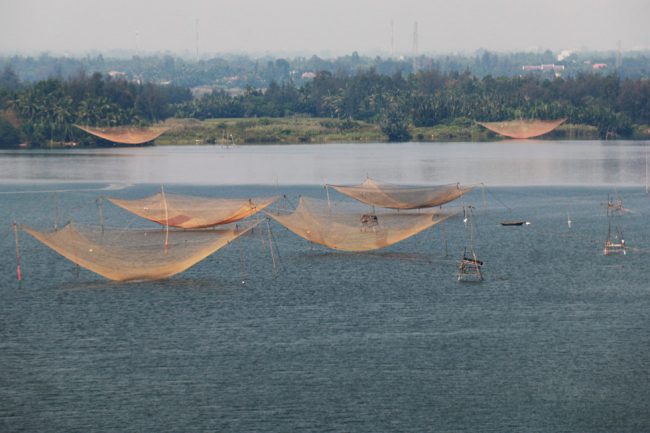 Tươi tắn cho ngày nắng