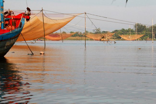 Vàng rực mặt sông