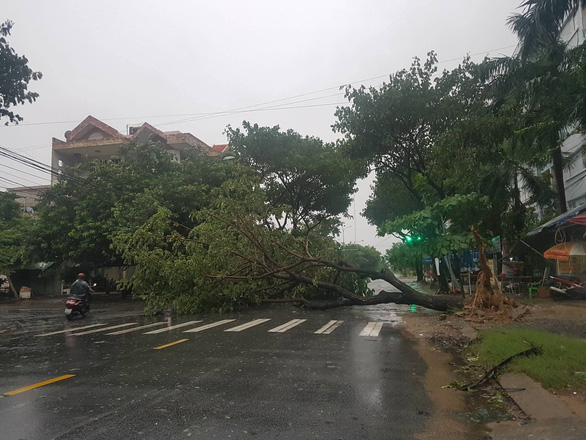 Cây xanh ngã đổ chắn đường Dương Vân Nga, quận Sơn Trà, TP Đà Nẵng - Ảnh: H.K.
