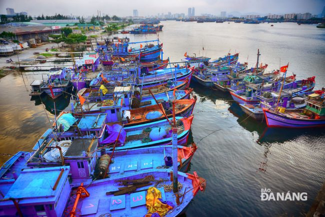 Cảng cá Thọ Quang. Ảnh minh họa.
