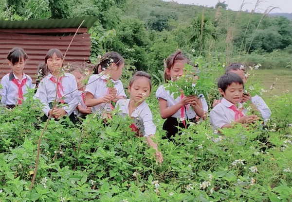 Học sinh trường Trà Nam lấy hoa dại tặng giáo viên.