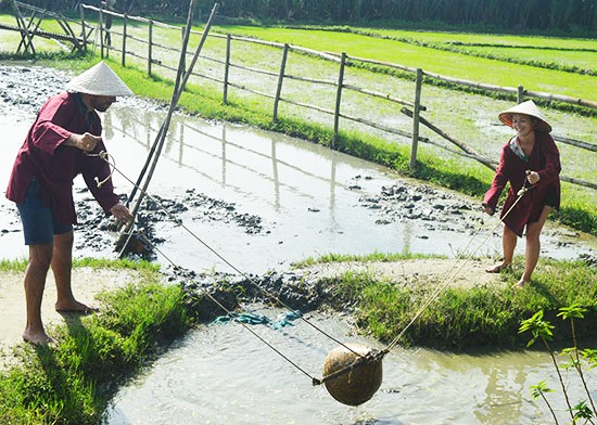 Du khách trải nghiệm công việc đồng áng của nông dân. Đây là sản phẩm du lịch được nhiều du khách quốc tế lựa chọn. Ảnh: Q.TUẤN