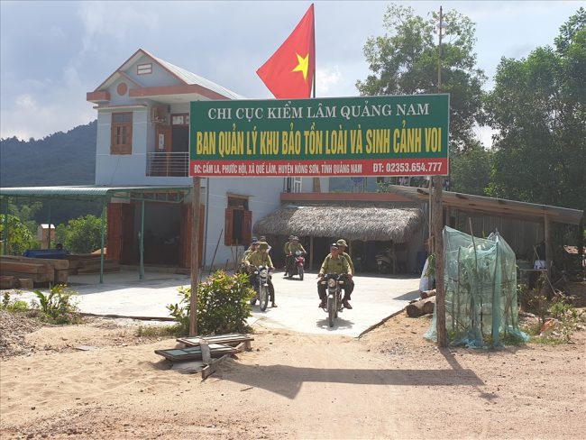 Theo mô hình sắp xếp, Ban Quản lý Khu bảo tồn loài và sinh cảnh voi trực thuộc quản lý của Sở NN&PTNT. Ảnh: HỮU PHÚC