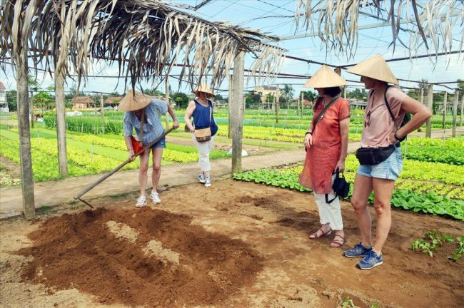 Du lịch cộng đồng trở thành hướng đi mới của du lịch Quảng Nam. Ảnh: V.L