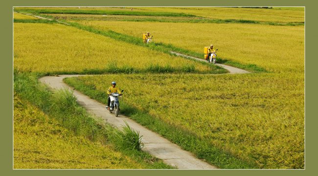 nhung-khoanh-khac-hanh-phuc